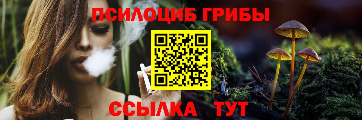 Гулькевичи  Псилоцибиновые грибы Magic Shrooms  Вход с VPN  Псилоцибиновые грибы Cubensis 